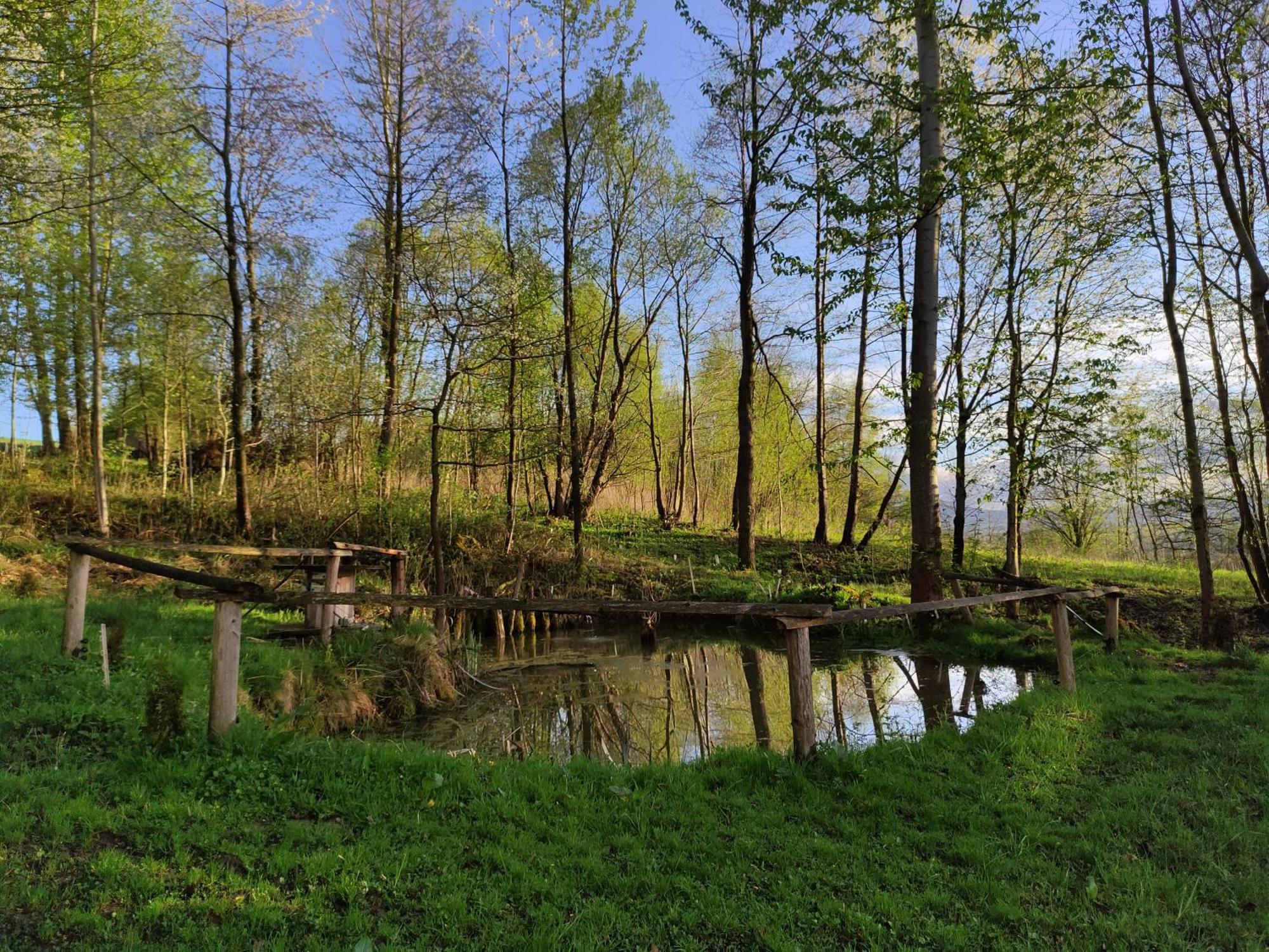 Agroturystyka Zielona Dolinka Stryszow Exterior foto